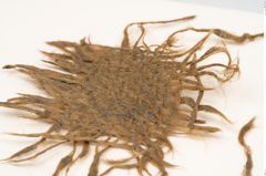 Foto von Textil (NHMW-PRAE-125695)